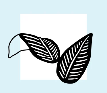 A black leaf graphic on a light blue background